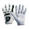 Golf Gloves 